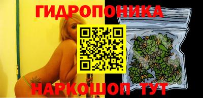 скорость Кинель