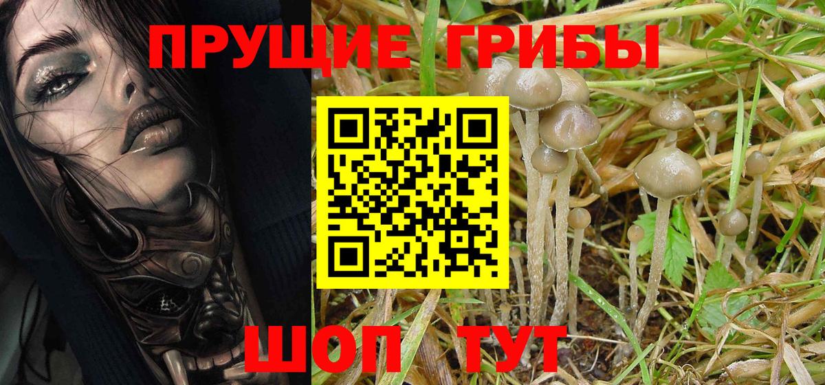 Галлюциногенные грибы Magic Shrooms Усть-Кут