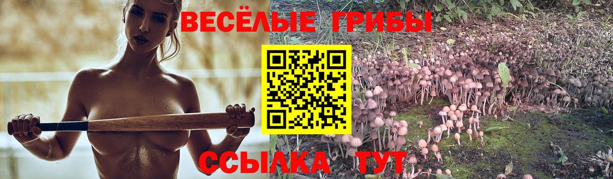 Галлюциногенные грибы прущие грибы  Вход с VPN  Усть-Кут  Псилоцибиновые грибы Psilocybe 